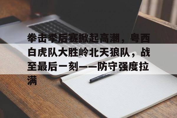 九游网页版登录入口-拳击季后赛掀起高潮，粤西白虎队大胜岭北天狼队，战至最后一刻——防守强度拉满的简单介绍